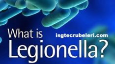Legionella bakterileri nedir
